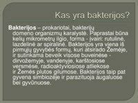 Biologinių bakterijų įvairovė