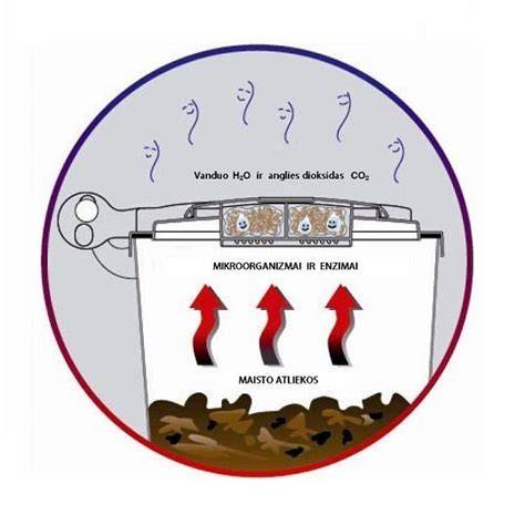 vaizdas su tvenkinių biologiniu filtru
