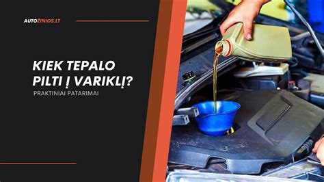 Schematinis Opel Vectra B Universalas variklio tepalo cirkuliacijos ir filtravimo procesas