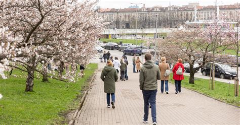 Dalelių, kurios gali būti ore