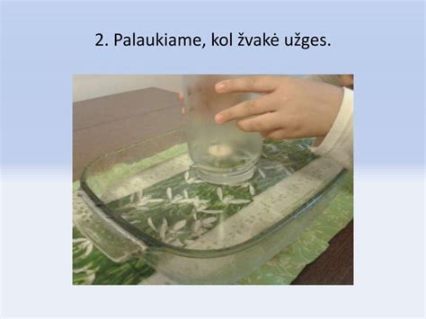 Namų ūkis su švariu vandeniu