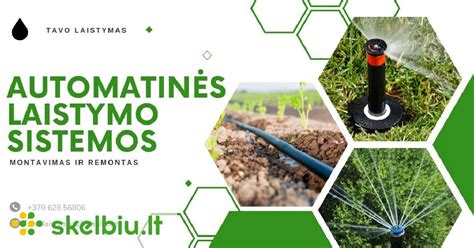 Scheminis automatinės laistymo sistemos išdėstymas
