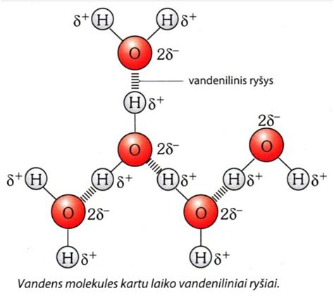 Vandens molekulės ir kalcio bei magnio jonai