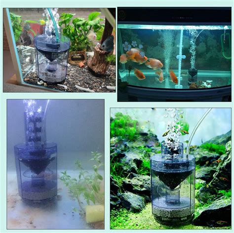 Akvariumo filtro valymo procesas