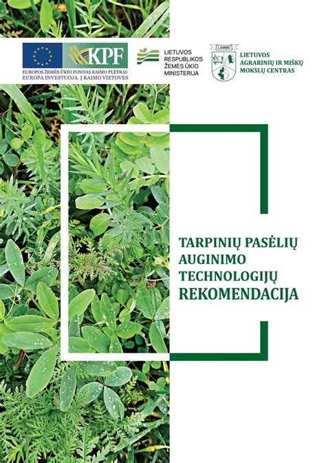 Schema, iliustruojanti tarpinių pasėlių auginimo ciklą
