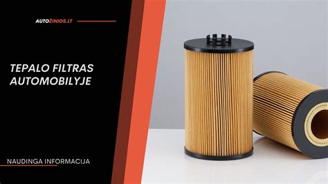 Tepalo filtro veikimo principas