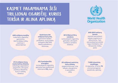 Infografika, iliustruojanti sauso oro poveikį žmogui ir namų aplinkai