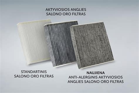 Salono oro filtras
