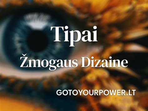 infografinis vaizdas apie lęšių tipų palyginimą