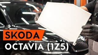 Skoda Octavia 2011 salono oro filtras