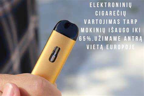 Elektroninių cigarečių filtrų tipai infografika
