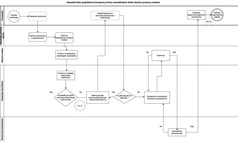 Procesų schema, iliustruojanti baltymų gamybos ir gryninimo etapus