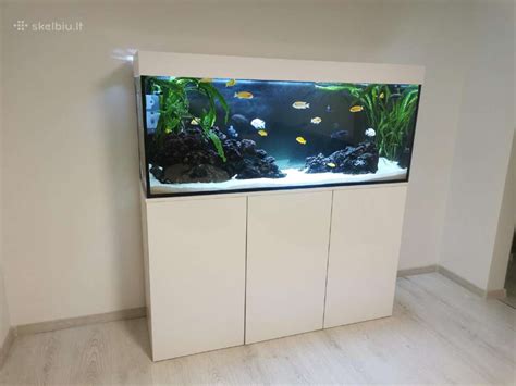 Akvariumas su įvairiais filtrais