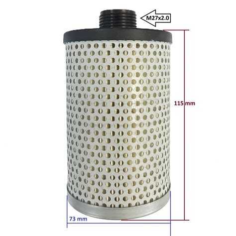 Schematinis degalų tiekimo sistemos vaizdas su kuro filtru