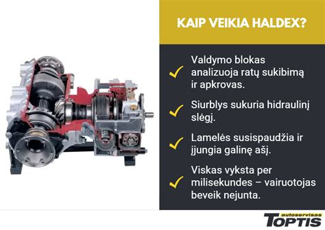 Haldex sistemos komponentų išdėstymas