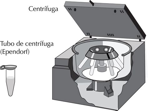 Pramoninė centrifuga