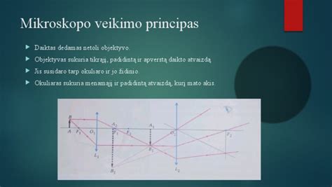 objektyvo filtro veikimo principas