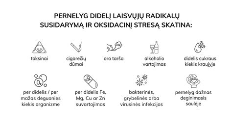 Laisvųjų radikalų ir antioksidantų sąveikos schema
