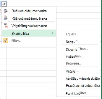 Excel lentelės duomenų filtravimas
