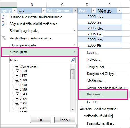 Excel duomenų rūšiavimas ir filtravimas