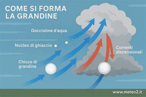 filtravimo grandine schema