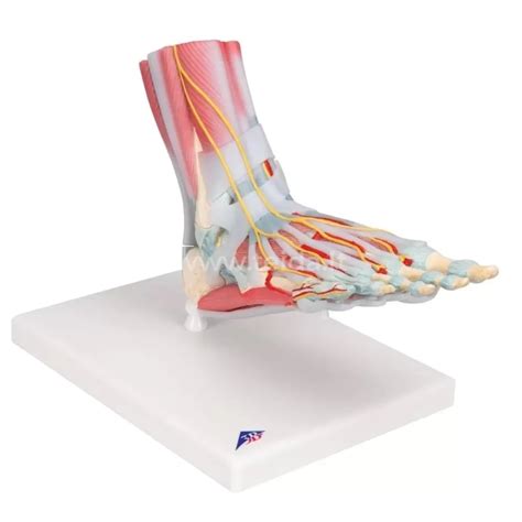 Palyginimas: nuotrauka su UV filtru ir be jo