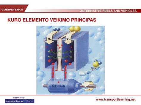 Kuro filtro veikimo principas