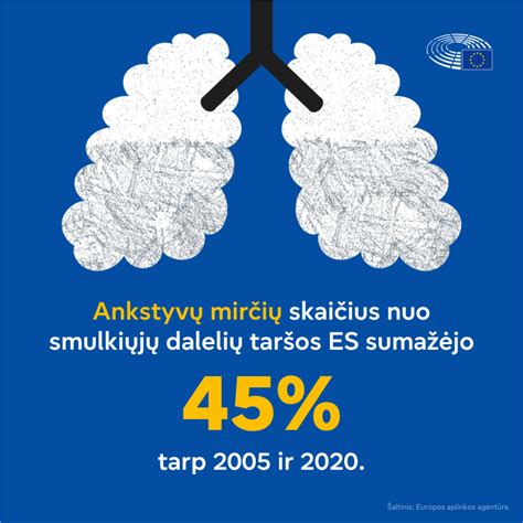 Oro taršos dalelių dydžių palyginimas