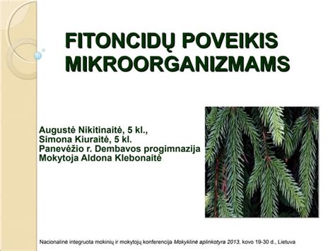 UV-C spindulių poveikis mikroorganizmams