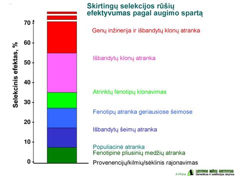 Grafikas rodantis duomenų augimo spartą