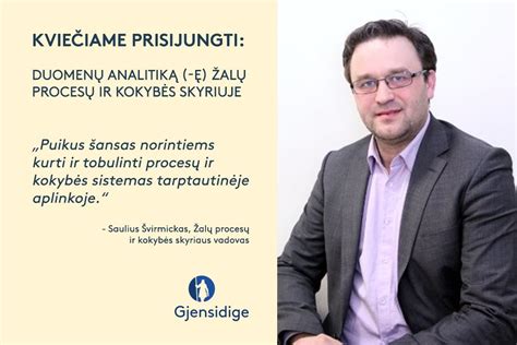 Diagrama, iliustruojanti sistemų analitiko ir duomenų analitiko vaidmenų skirtumus ir panašumus