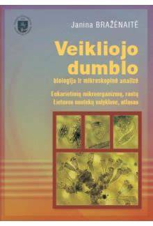 Veikliojo dumblo pavyzdys