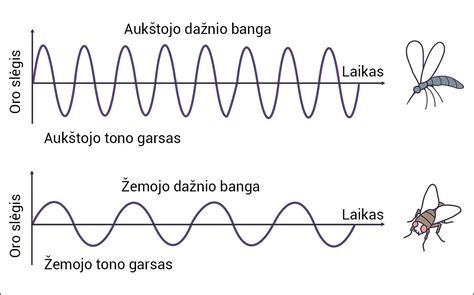Signalo bangos formos grafikas