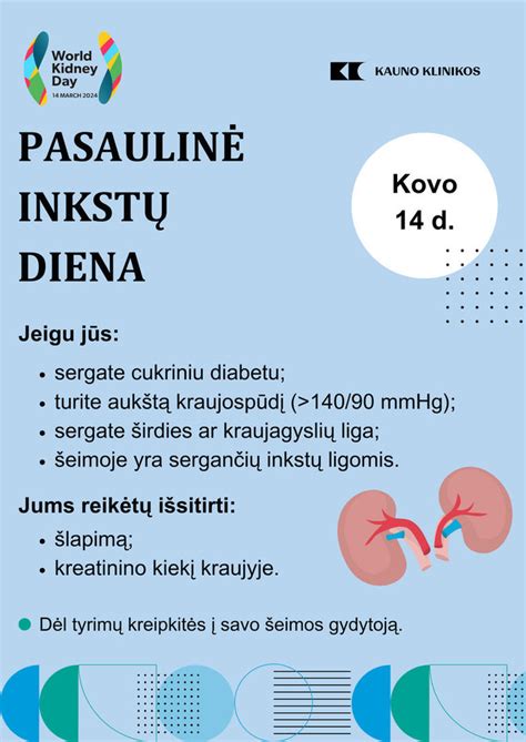 Informacinis plakatas apie slapukų veikimą