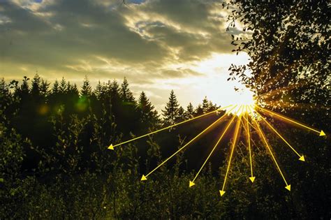 Šviesos spindulių sklidimas per skirtingus filtrus