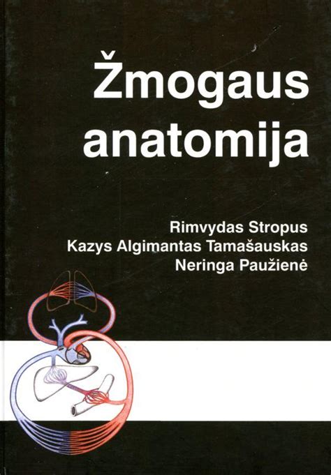 Žmogaus inkstų anatomija