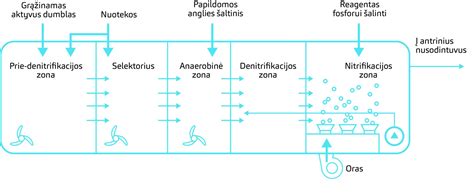 Mikroorganizmai, skaidantys organinius teršalus