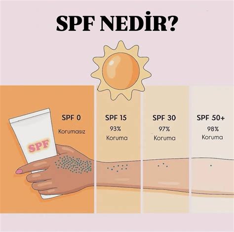 Tinkamas SPF kremo kiekis