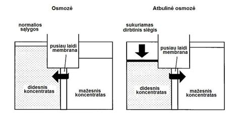 Atvirkštinės osmozės proceso schema