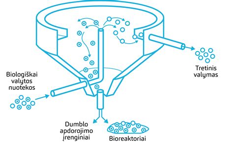 Veikliojo dumblo proceso schema