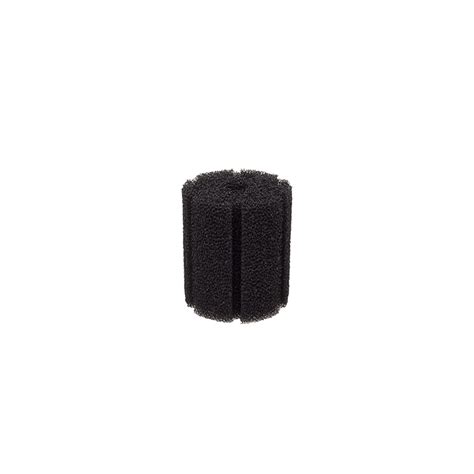 Akvariumo filtro kempinė
