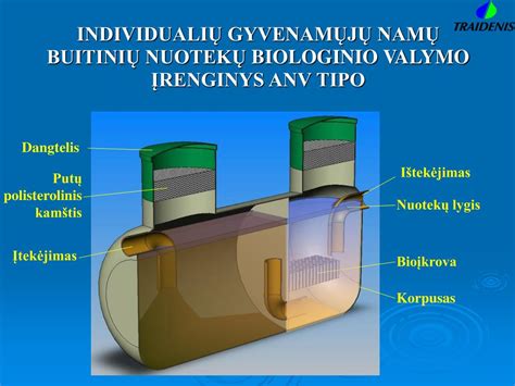 Scheminis biologinio nuotekų valymo įrenginio pjūvis