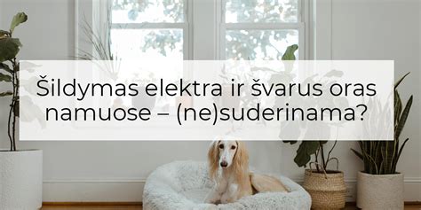Švarus oras namuose