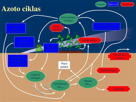 Azoto ir fosforo ciklas nuotekose