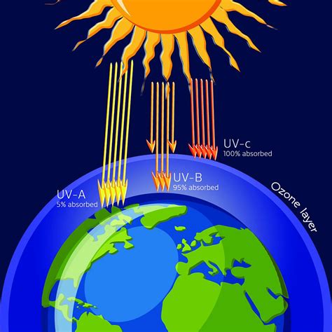 ozono ir UV spindulių sąveikos schema