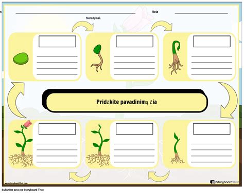 Paprasta schema, iliustruojanti slapukų veikimą