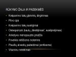 Žiedadulkių poveikis kvėpavimo takams