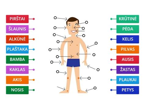 Žmogaus kūno mineralų balansas