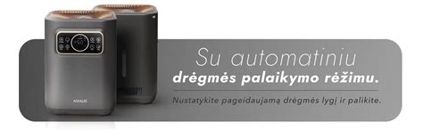 Rekomenduojami oro jonizatorių gamintojai