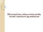 Mikroorganizmų vaidmuo biologiniame nuotekų valyme